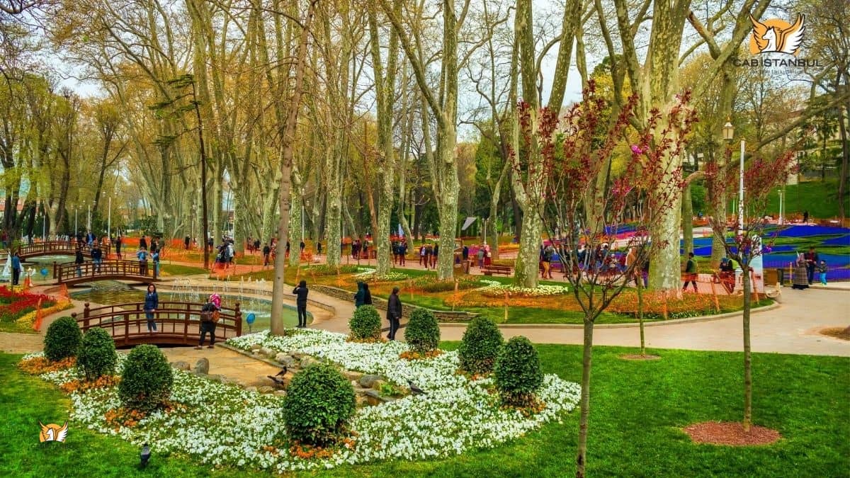 Istanbul’s Colorful Tulip Gardens