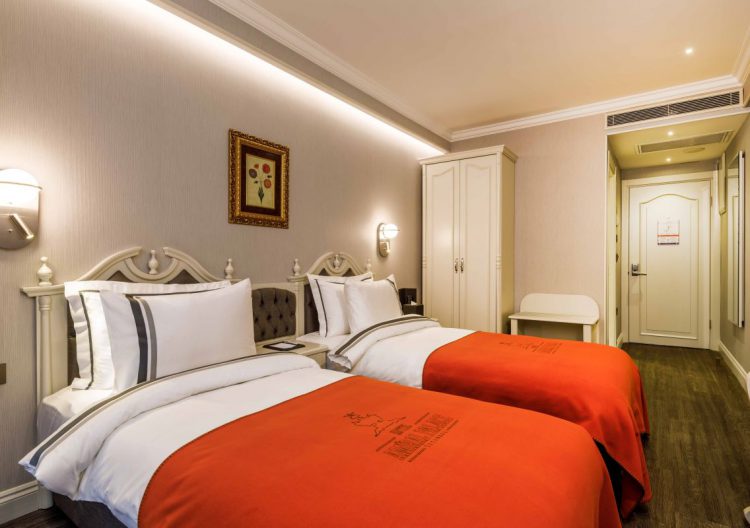 Standard Twin Room