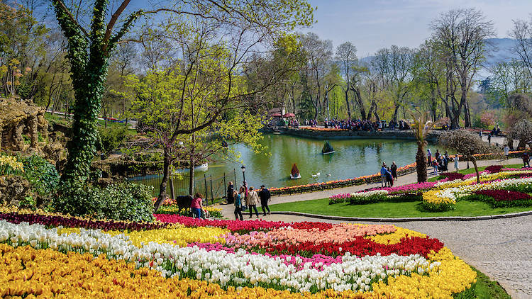 Explore Istanbul’s Natural Beauty